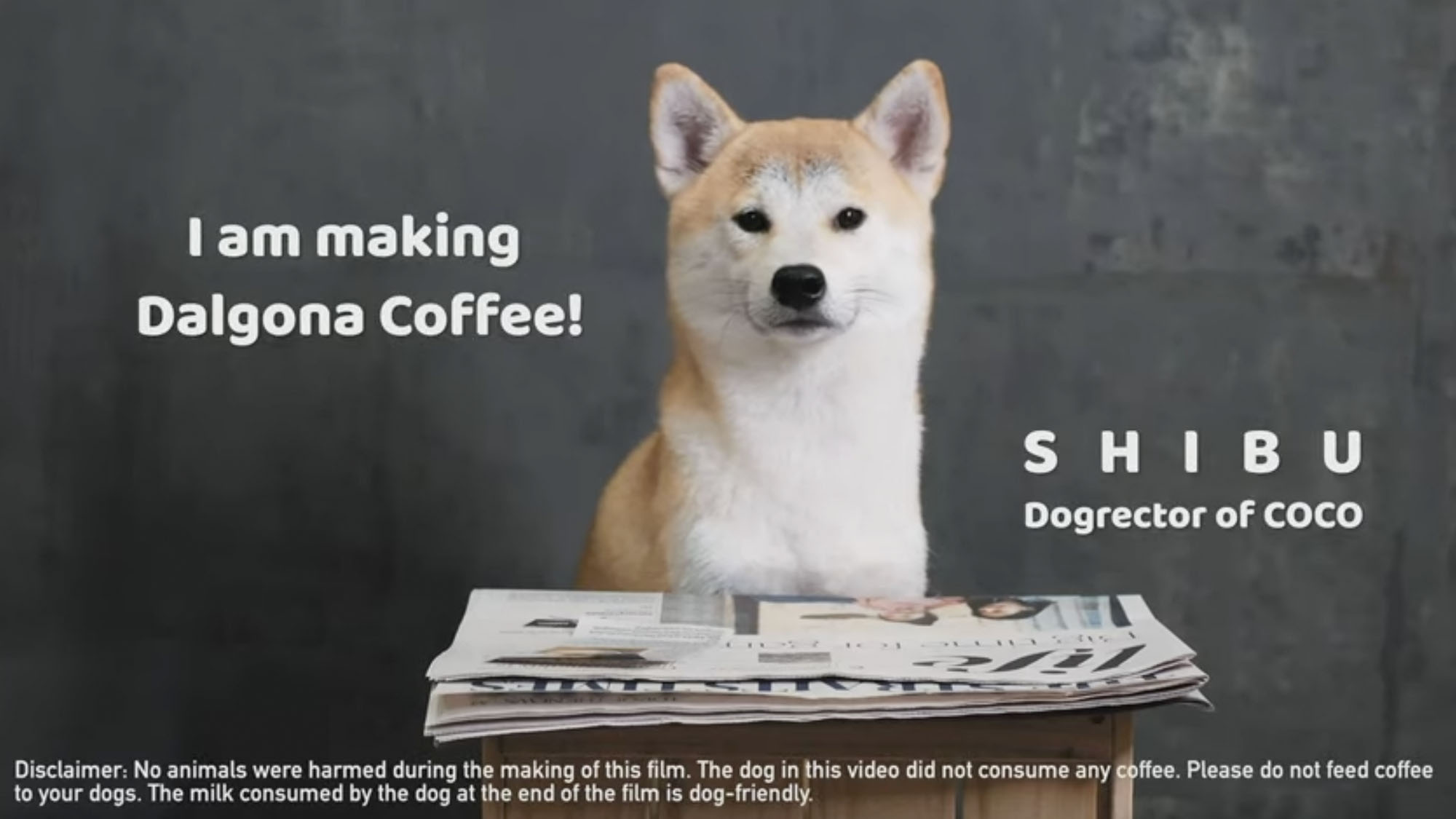 Dalgona Coffee - Shibu Shiba Dog Singapore Video Production Studio