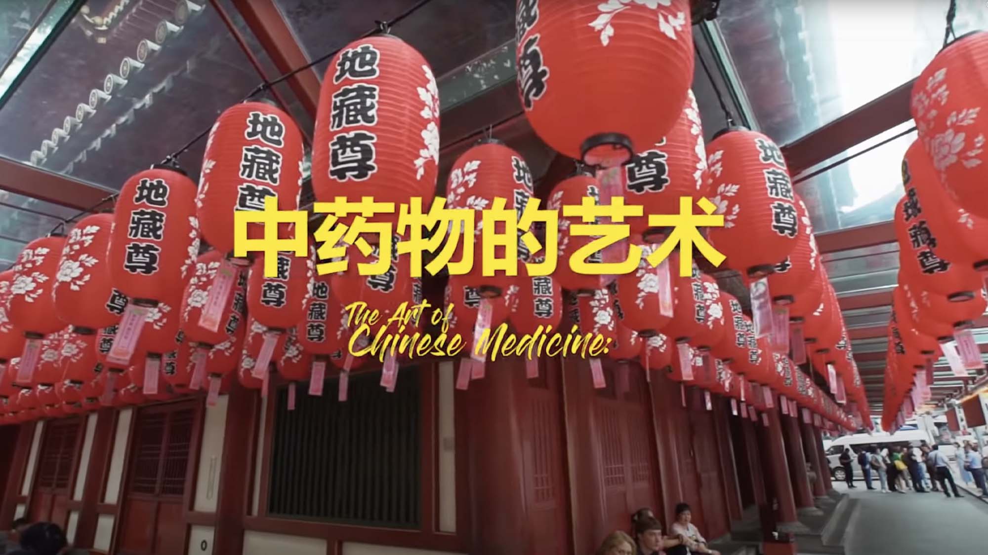 The Art of Chinese Medicine Singapore Video Production Video editing