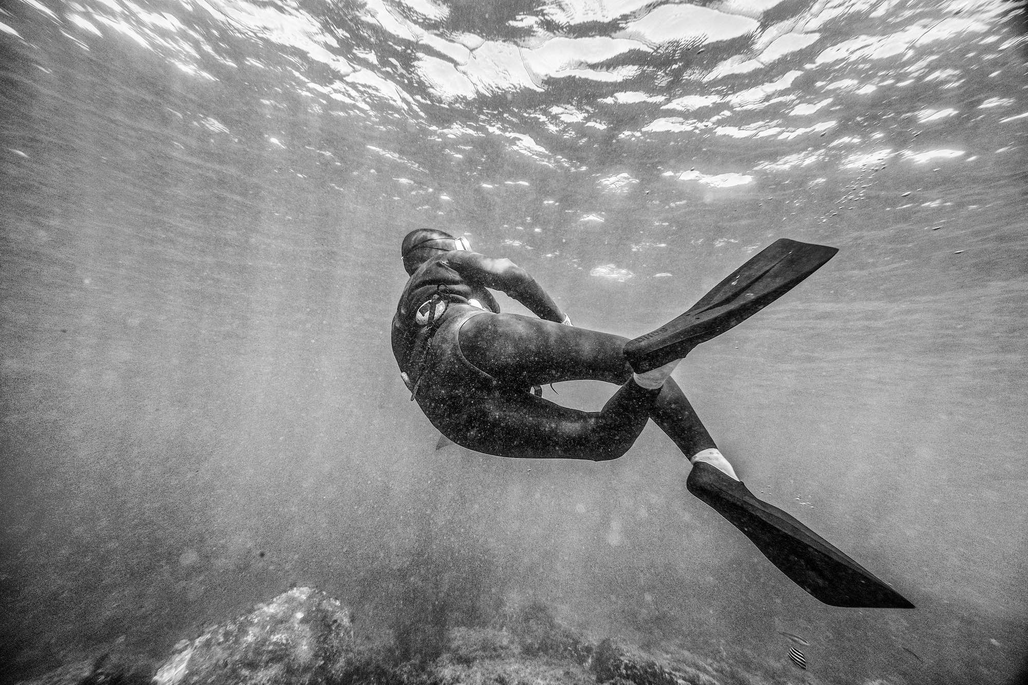black and white photo of haenyeo swimming in the ocean underwater
