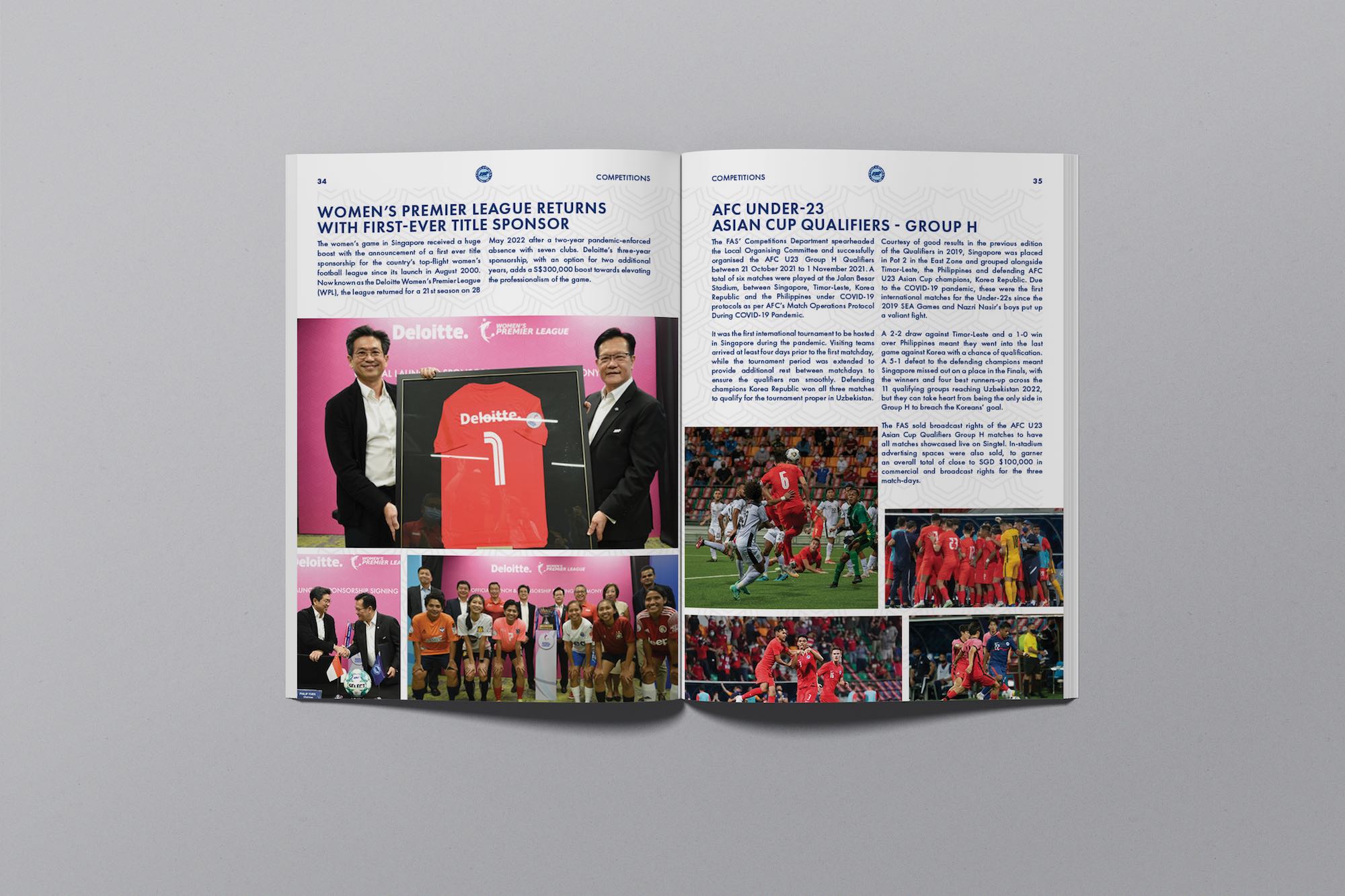 fas annual report article